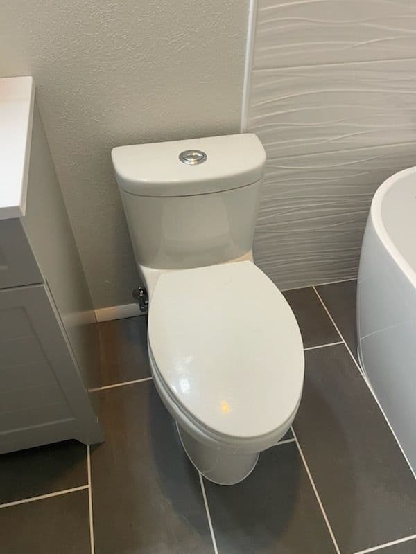 Project Modern Bathroom Makeover with Dual-Flush Toilets image